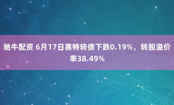 驰牛配资 6月17日赛特转债下跌0.19%，转股溢价率38.49%